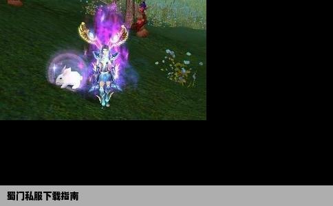 蜀门私服下载指南