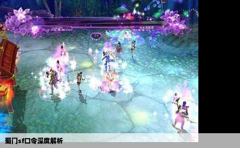 蜀门sf口令深度解析