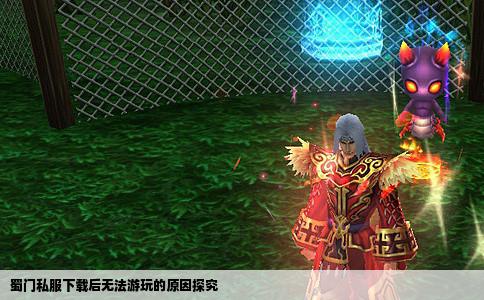 蜀门私服下载后无法游玩的原因探究